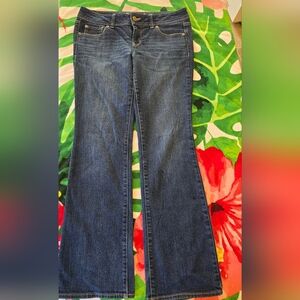 American Eagle Slim Boot Low Waist Jeans